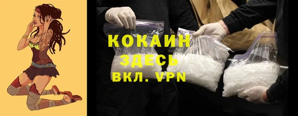 дживик Алексин