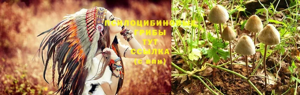 эйфоретик Алзамай